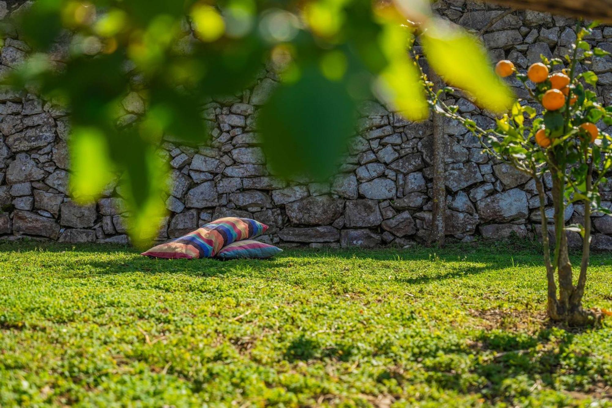 L'Antica Pigna Chateau 维克艾库塞 外观 照片